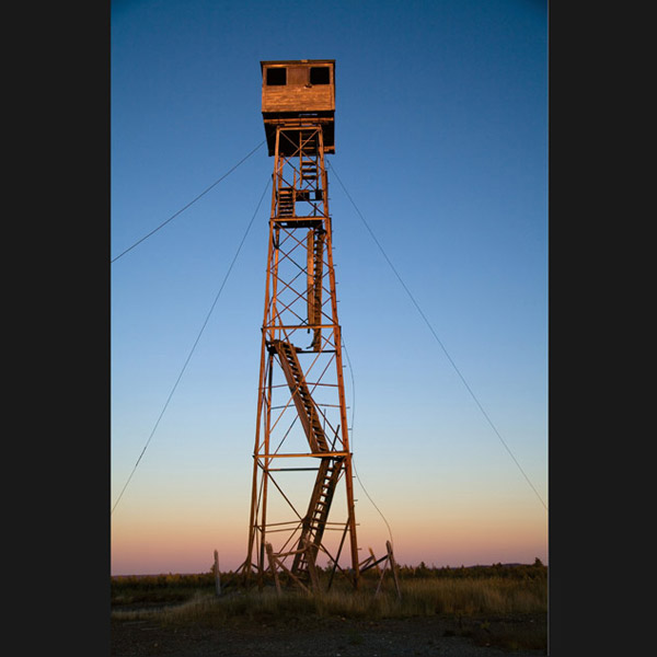 Tower, Airline