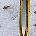 Rail