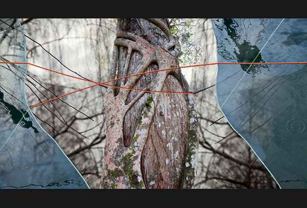 Coastal Web, 2011