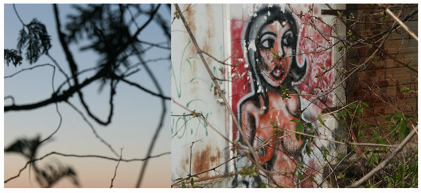 Bush Girl