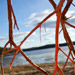 Fundy Shores