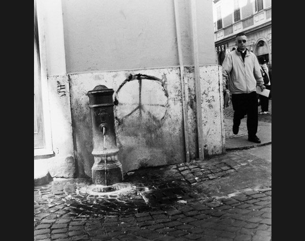 Water Hole, Vatican