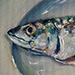 Mackerel 2014
