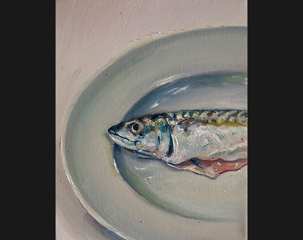 Mackerel 2014