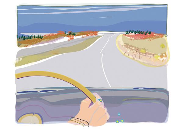Driving North