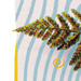 Rust Fern
