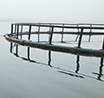 Water's Edge
