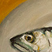 Mackeral