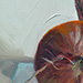 Red Onion and Canvas