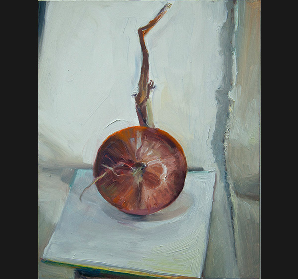 Red Onion and Canvas