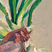 Red Onion
