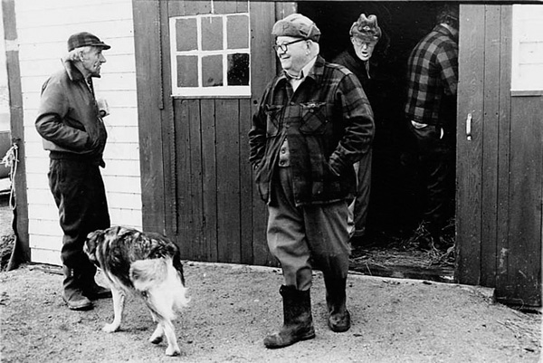 Country Vet