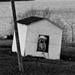 Dog House