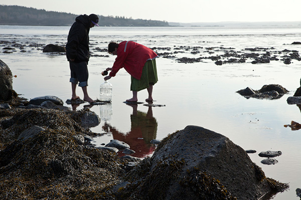 Collecting Water for Waterwalk