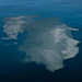 Deer Island
