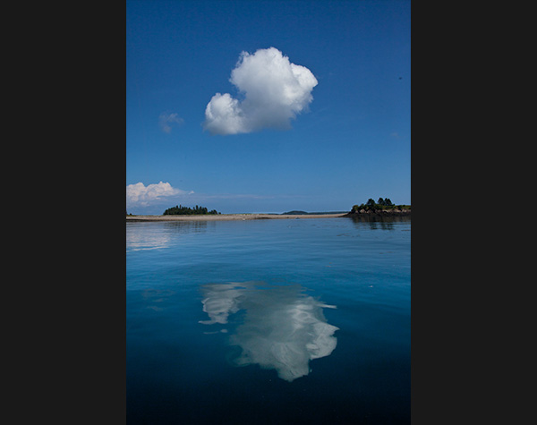 Deer Island