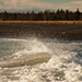 Herring Cove