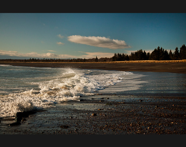 Herring Cove