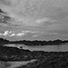 Racoon Beach