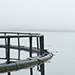 Salmon Pens
